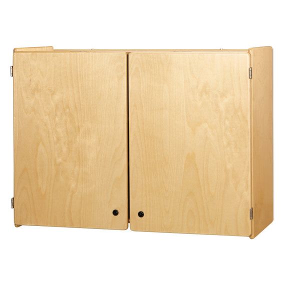 Lockable Wall Cabinet