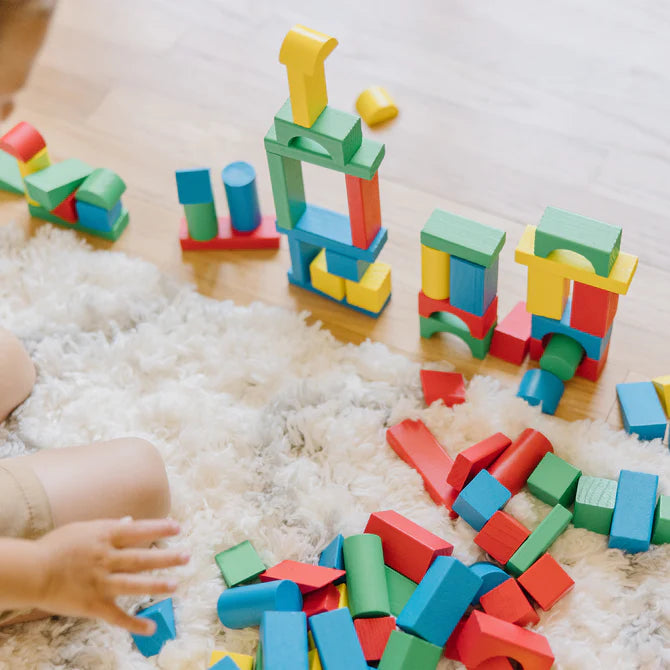 100 Piece Wood Blocks Set