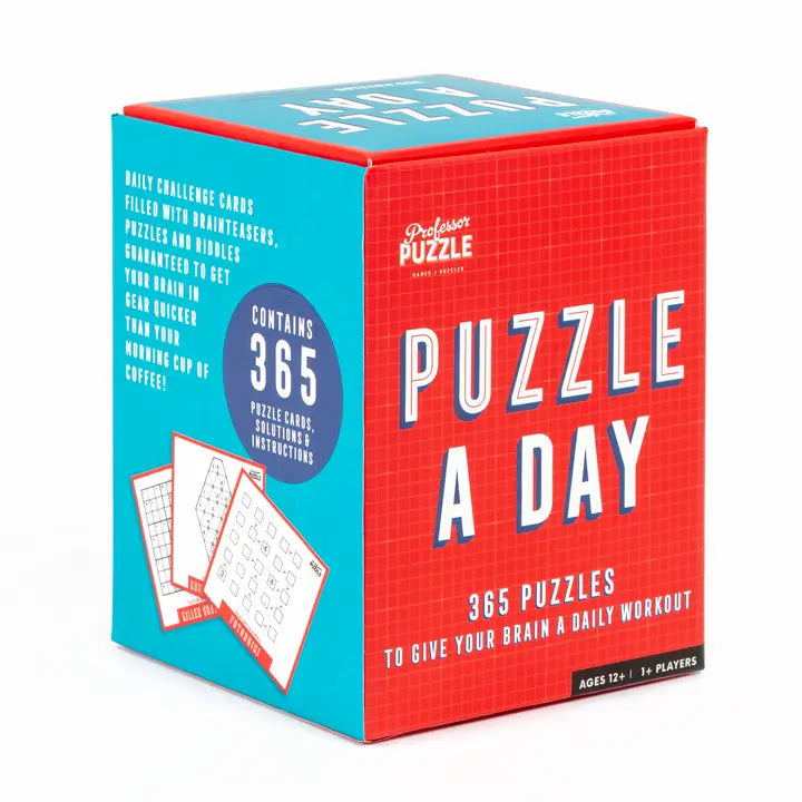 Puzzle A Day 365 Brain Puzzles