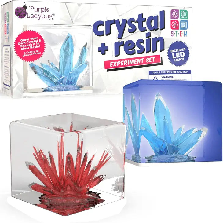 Crystal Growing Kit with Resin casing and an LED light!