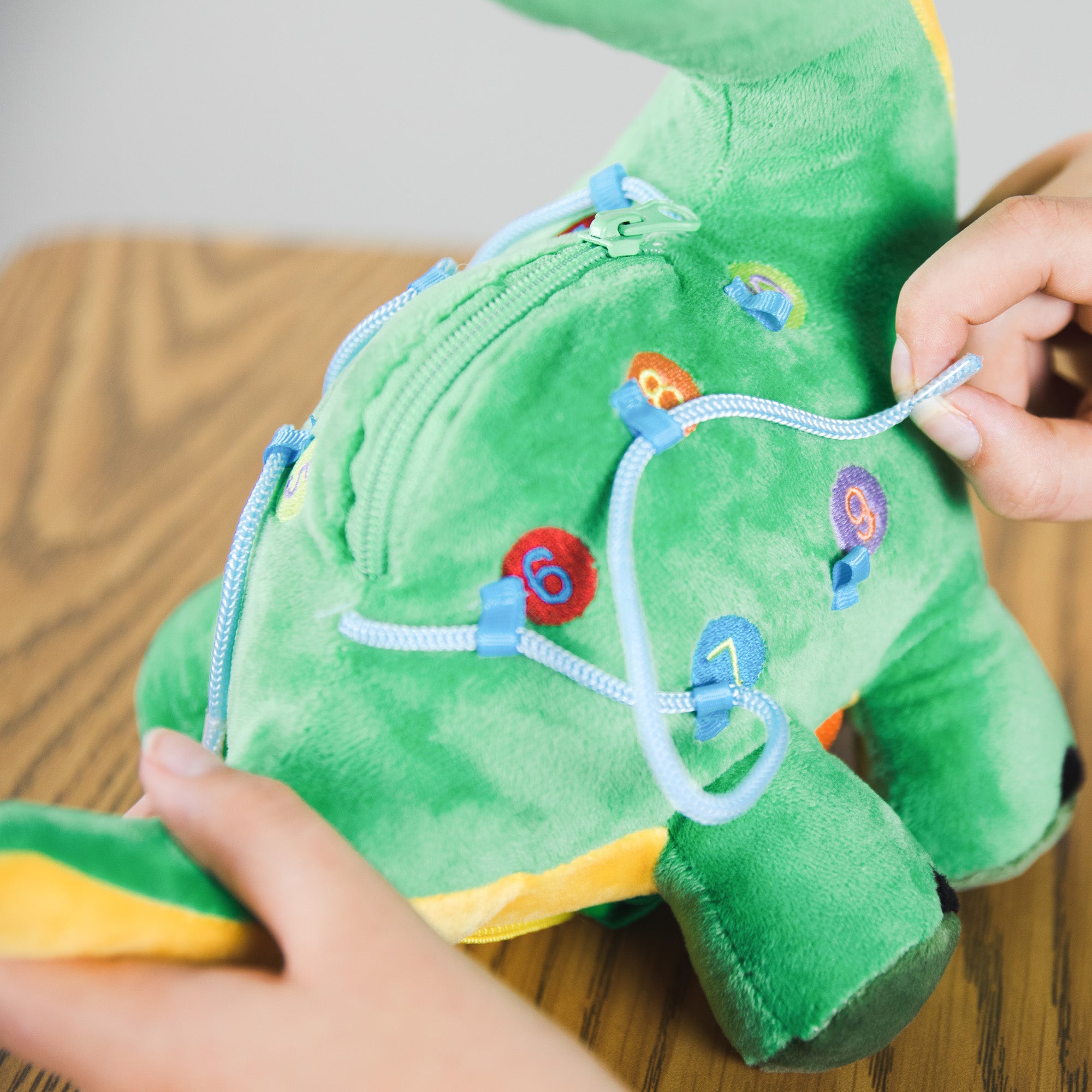 Busy Bee Sensory Activity Toy - Dinosaur