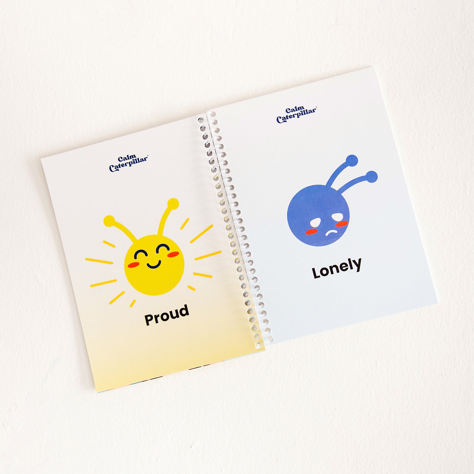 Feelings & Emotions Flashcards For Kids