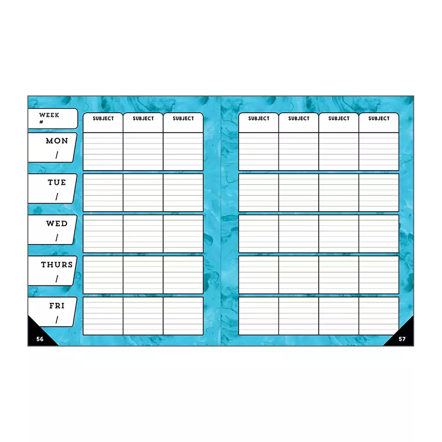 Celebrate Learning Teacher Planner Plan Book