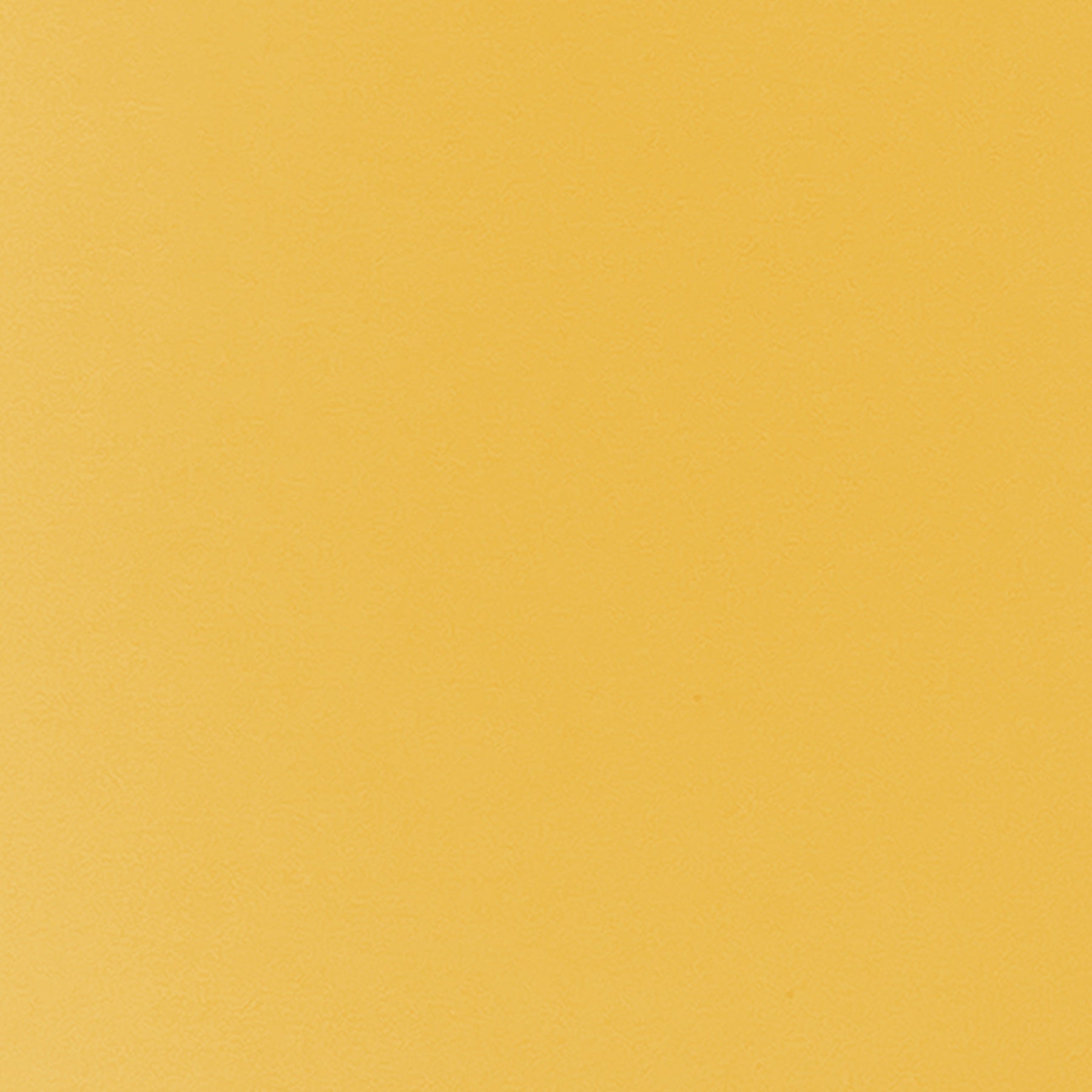 Rolled Scalloped Bulletin Board Border, Goldenrod, 65 Feet, Pack of 3