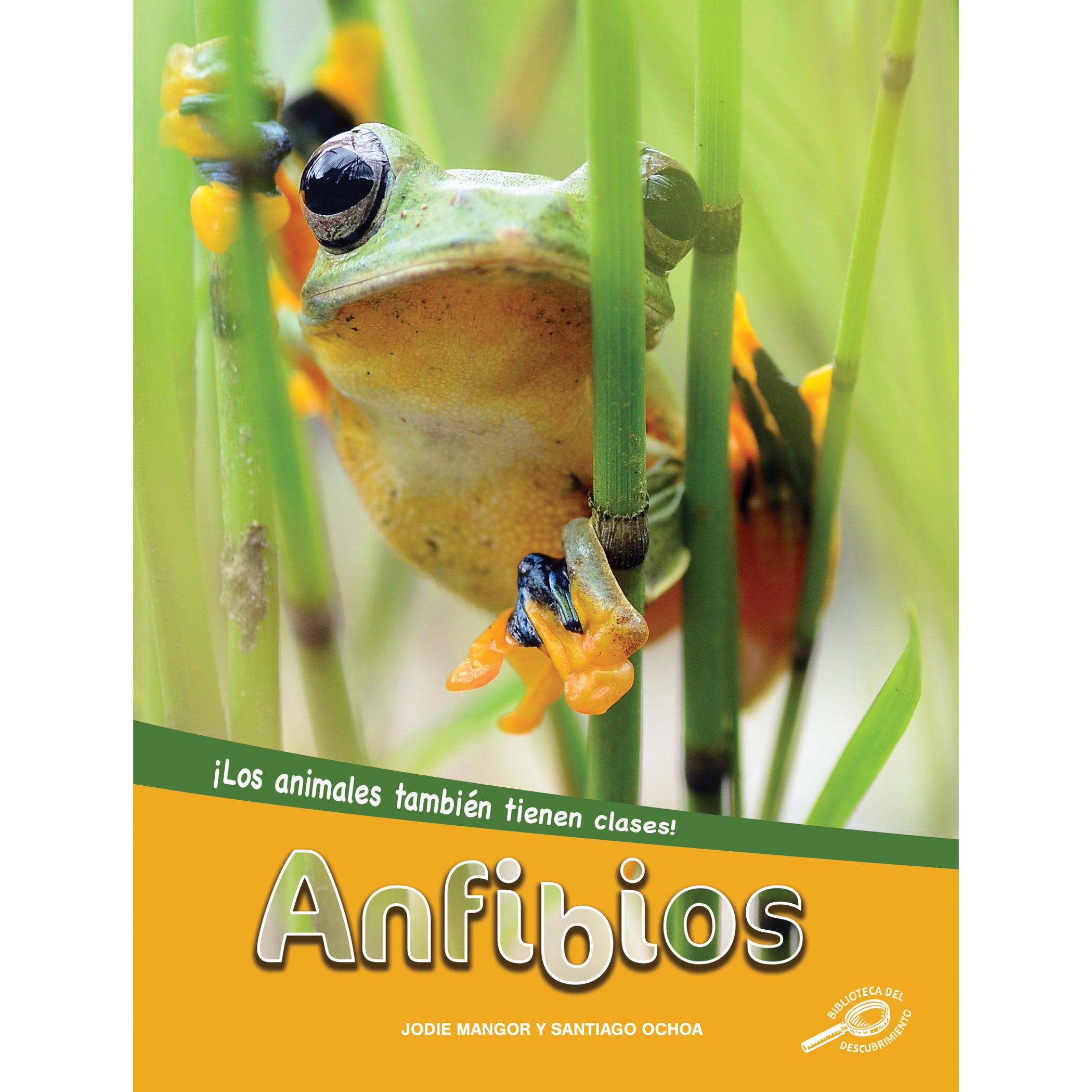 Anfibios Hardcover