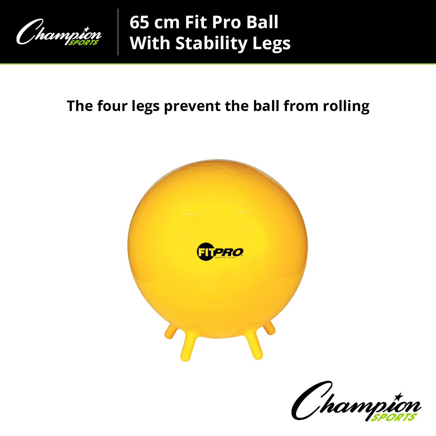 FitPro Ball with Stability Legs, 65cm