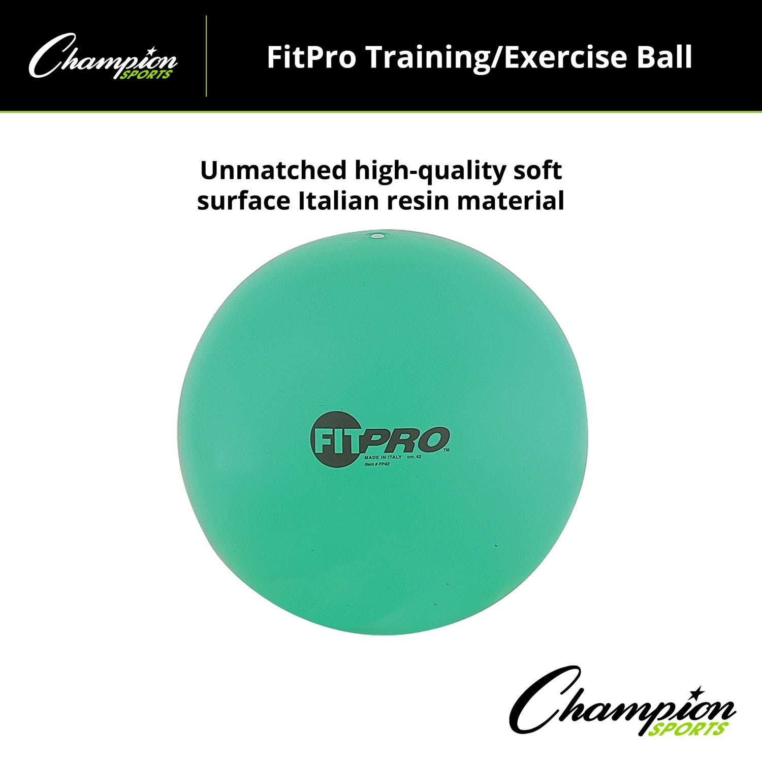 Fitpro Training & Exercise Ball, 42cm, Green