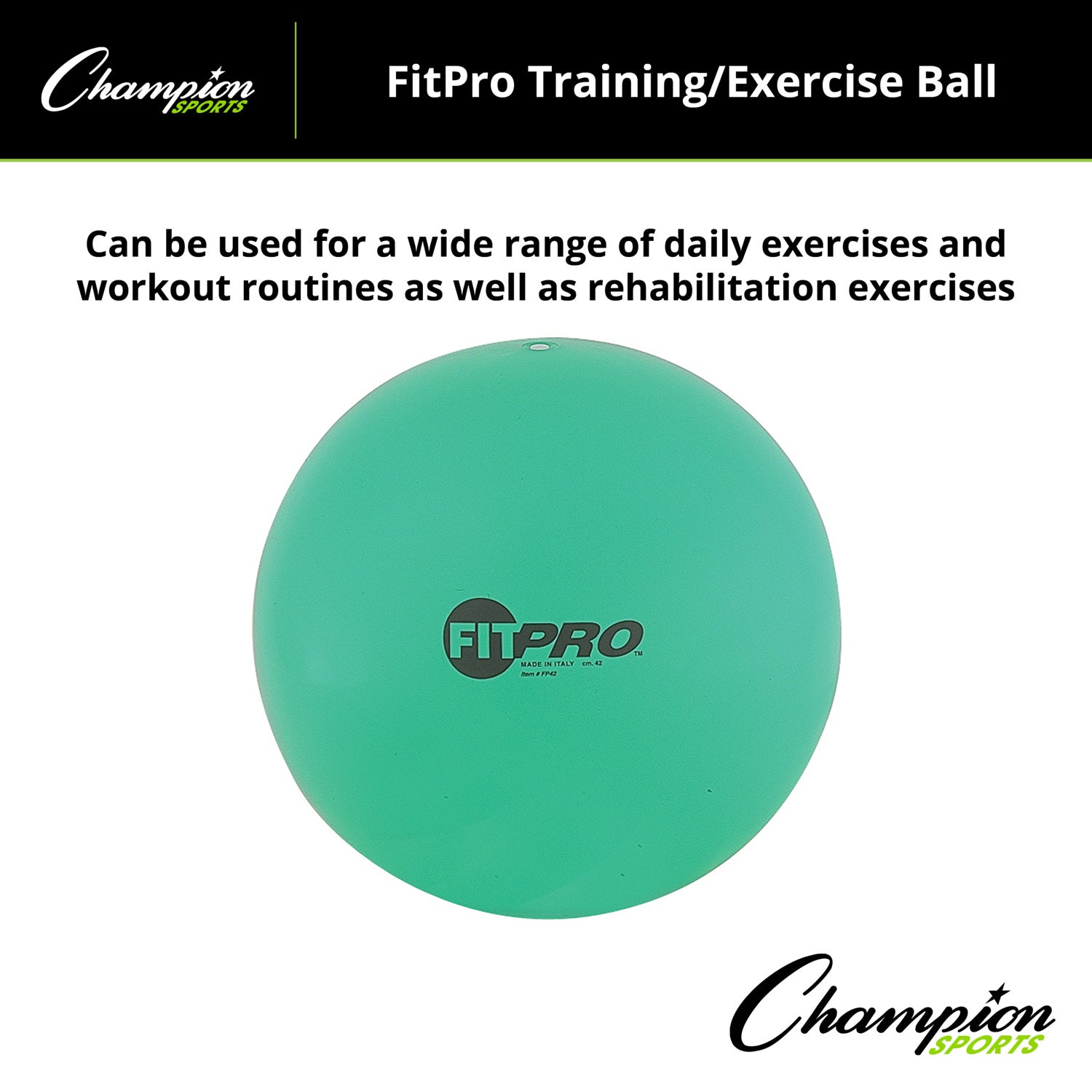 Fitpro Training & Exercise Ball, 42cm, Green