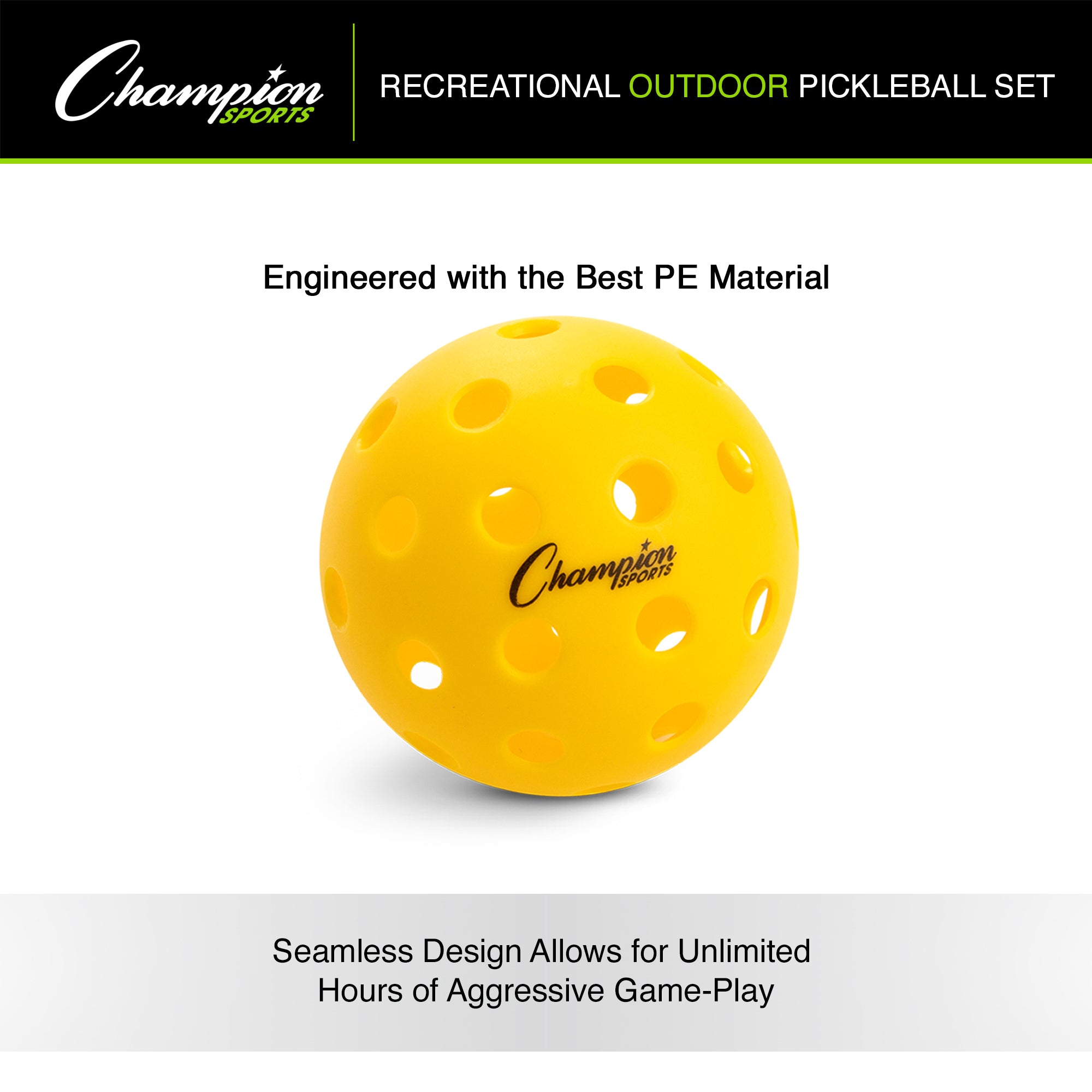 Recreational Outdoor Pickleball Set