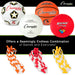 Physical Education Kit with 7 Balls & 14 Jump Ropes, Assorted Colors - A1 School Supplies