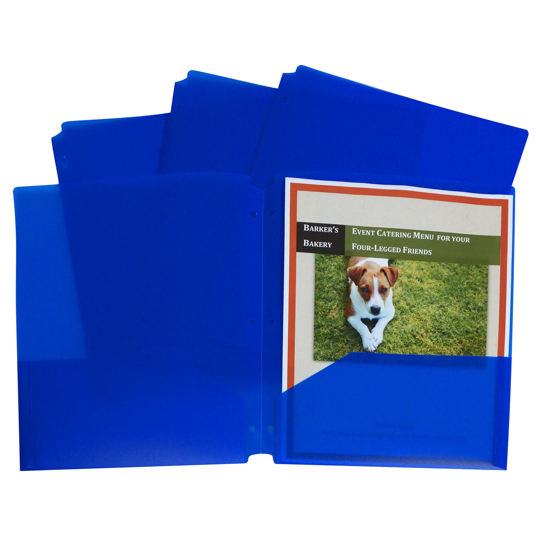 Two-Pocket Poly Portfolios with Three-Hole Punch, Blue, Box of 25