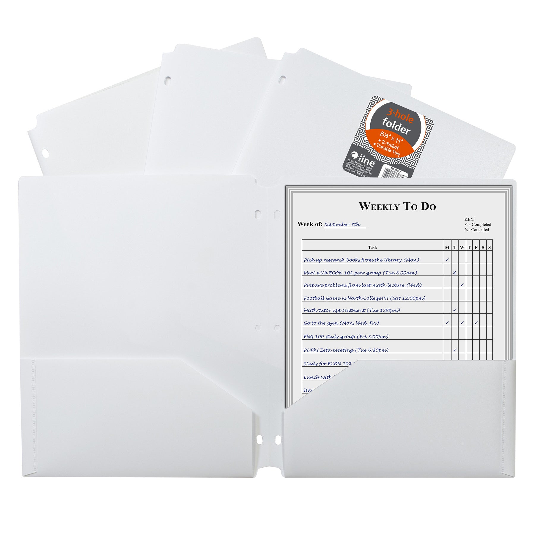 Two-Pocket Heavyweight Poly Portfolio Folder with Three-Hole Punch, White, Pack of 25