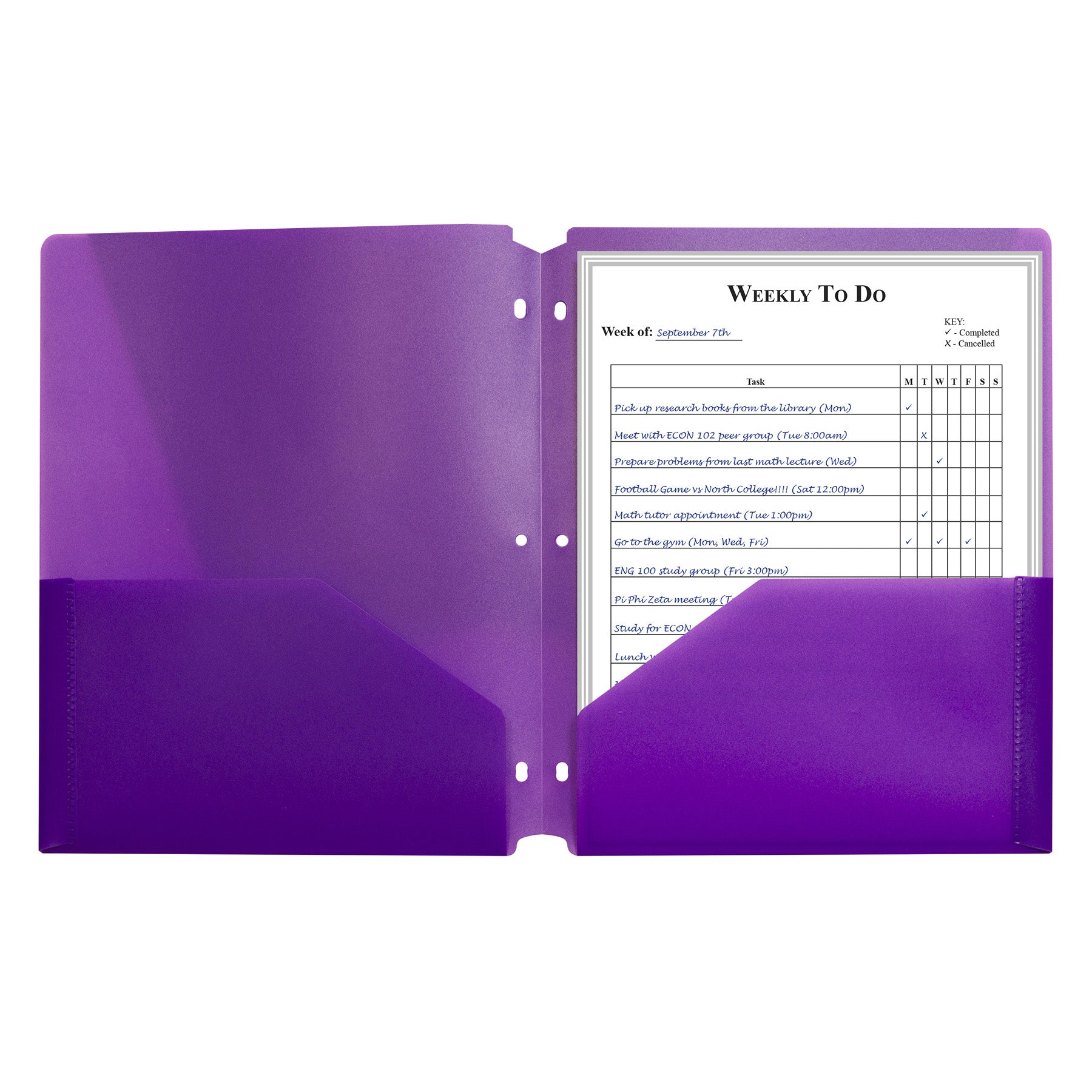 Two-Pocket Heavyweight Poly Portfolio Folder with Three-Hole Punch, Purple, Pack of 25