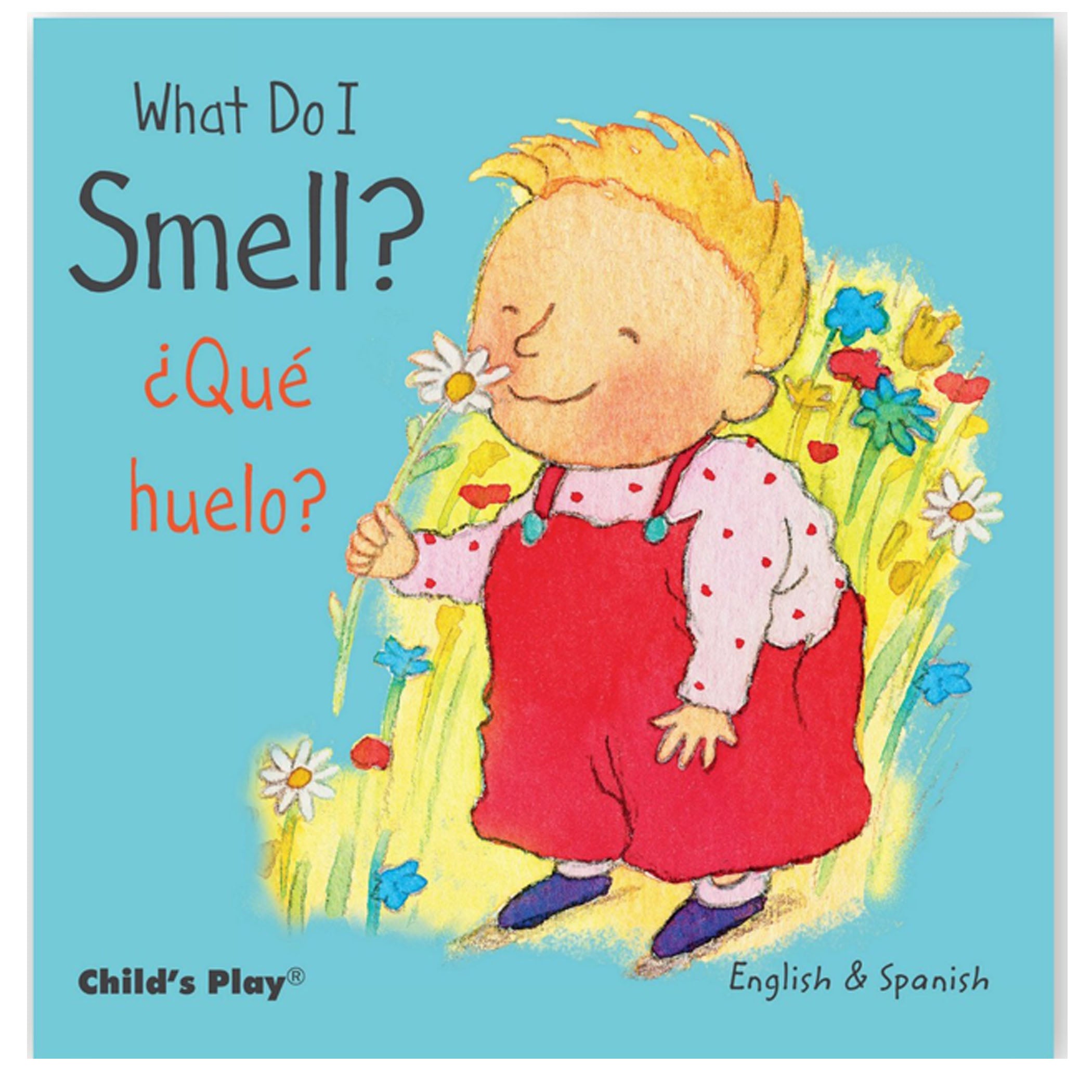 Small Senses Bilingual Board Books, Set of 5