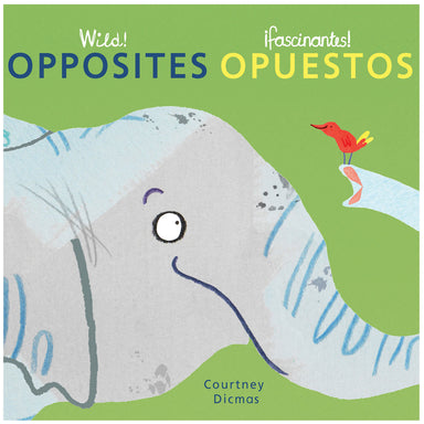 Wild! Concepts Bilingual Board Books, Set of 4 - A1 School Supplies