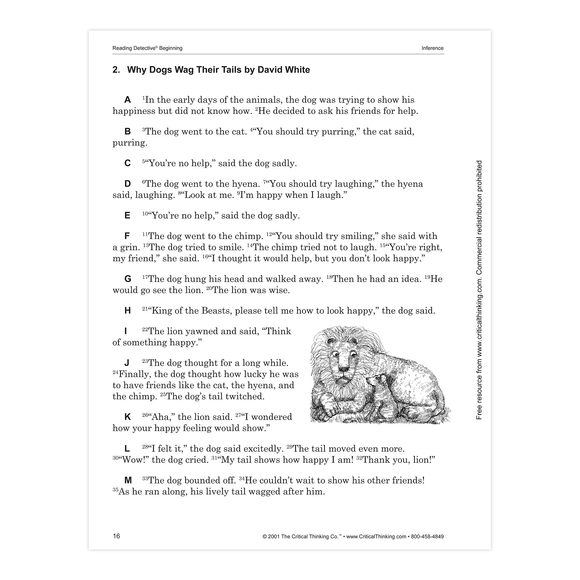 Reading Detective® Beginning, Grade 3-4