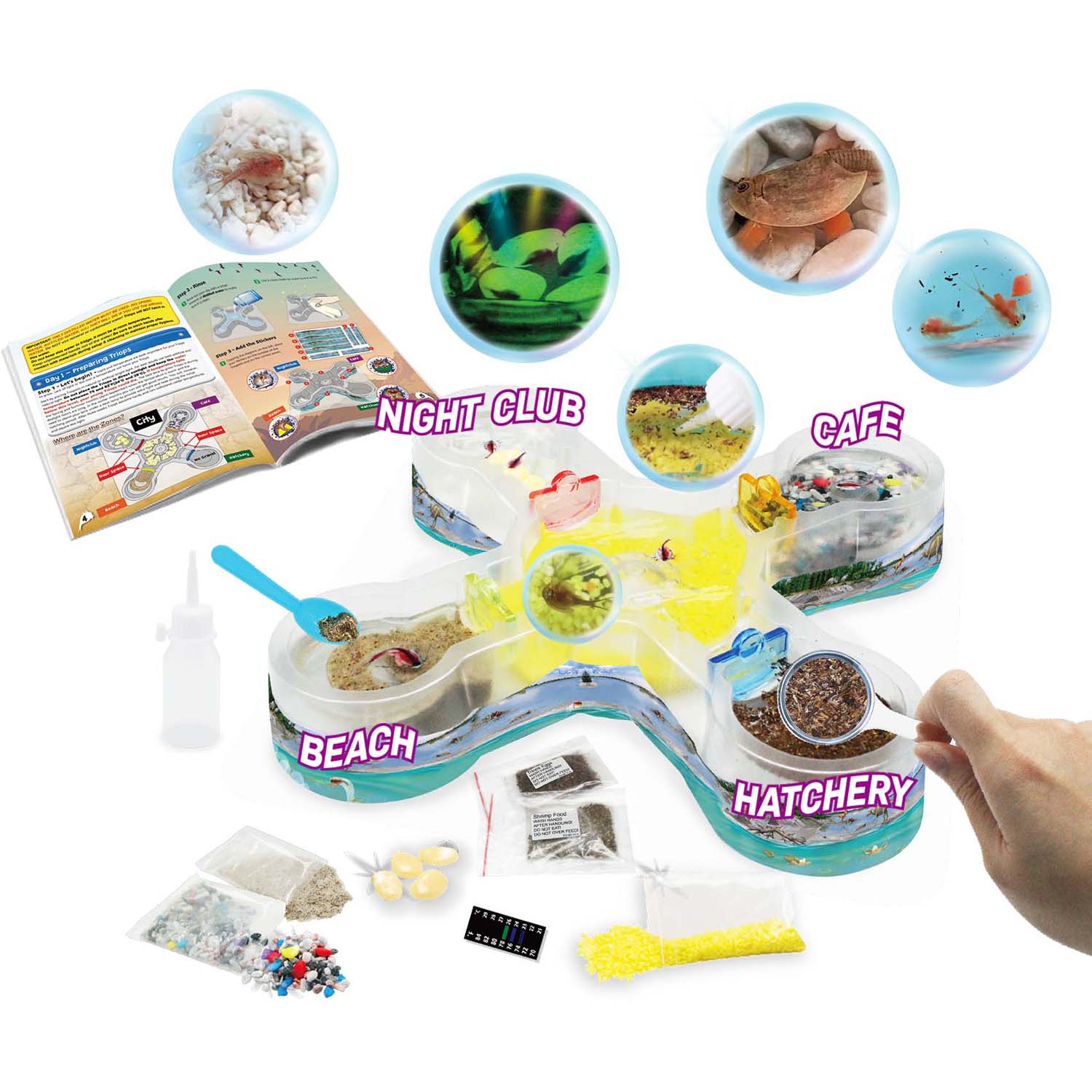 Under Water City Triopolis - Science Kit for Ages 8+ - Hatch Triassic Dinosaur Living Fossils - Eggs and Tank Included - A1 School Supplies