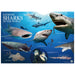 Extreme Sharks of the World - For Ages 6+ - Create and Customize Models and Dioramas - Study the Most Extreme Animals - A1 School Supplies