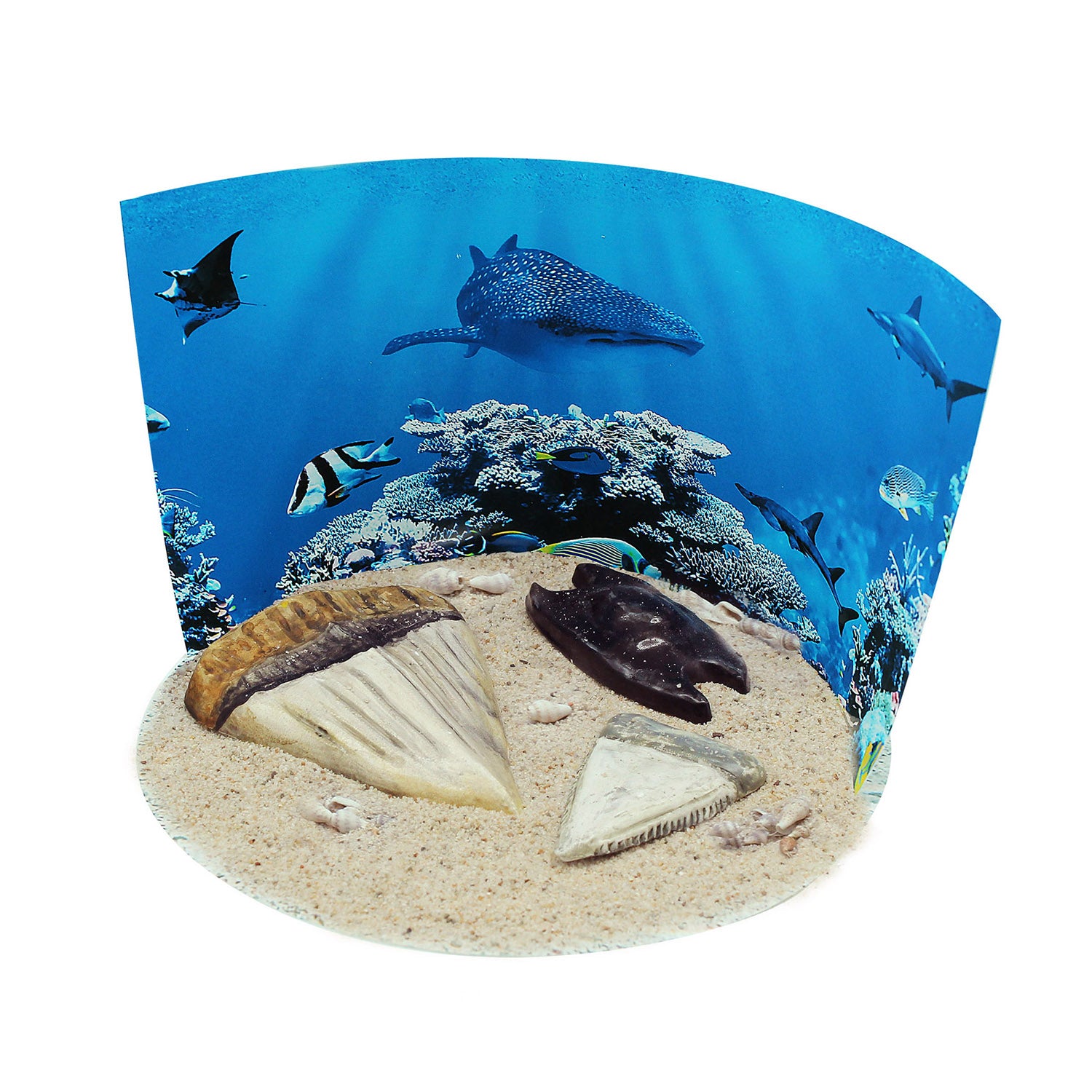 Extreme Sharks of the World - For Ages 6+ - Create and Customize Models and Dioramas - Study the Most Extreme Animals - A1 School Supplies