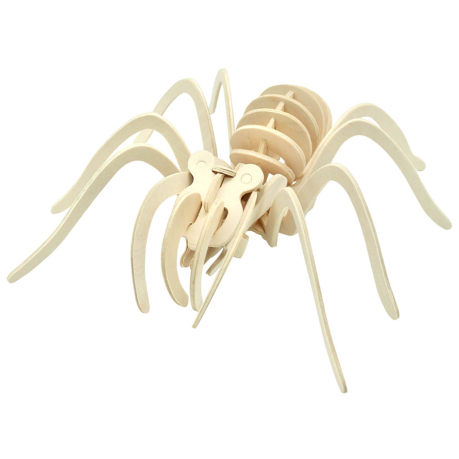 Extreme Spiders of the World - For Ages 6+ - Create and Customize Models and Dioramas - Study the Most Extreme Animals