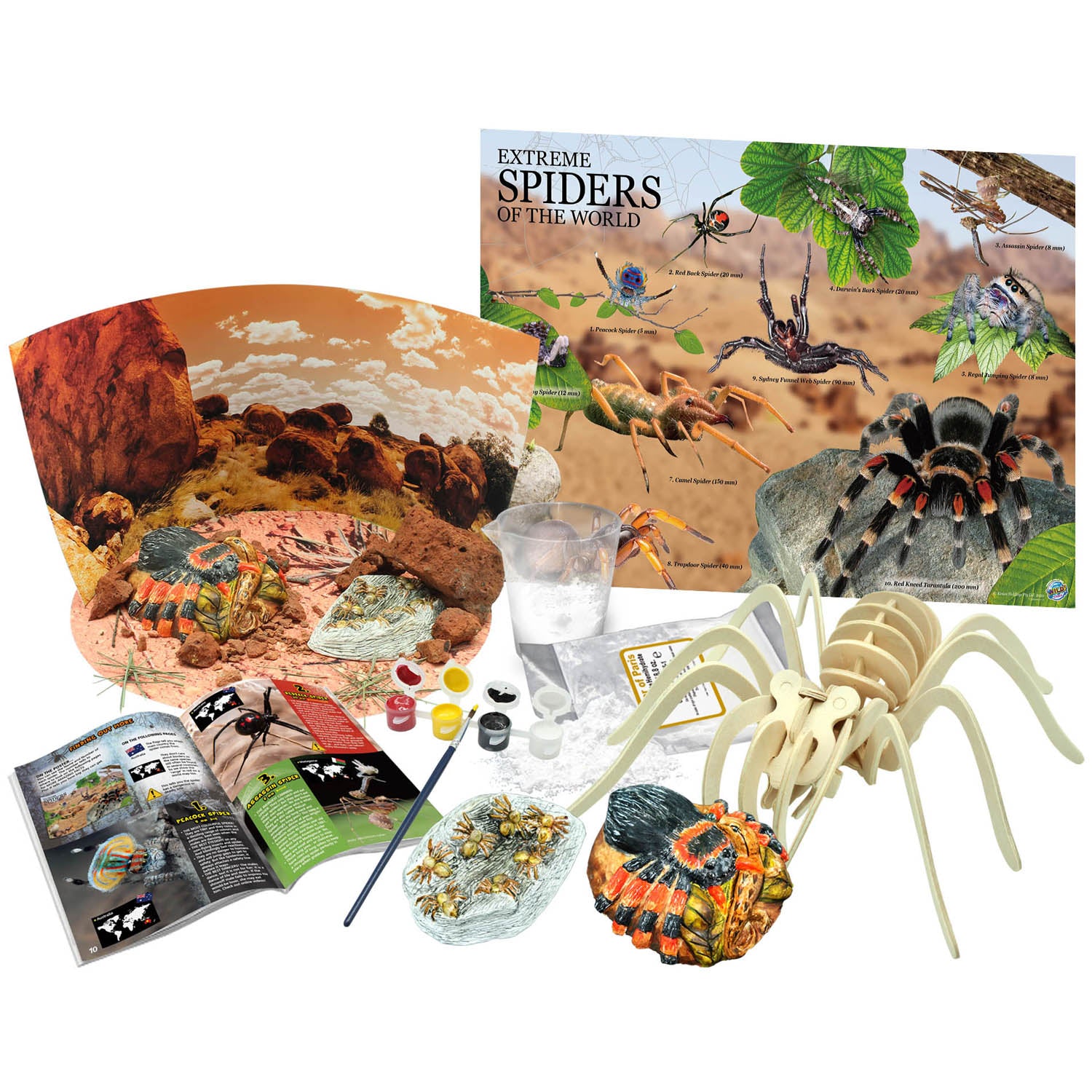 Extreme Spiders of the World - For Ages 6+ - Create and Customize Models and Dioramas - Study the Most Extreme Animals