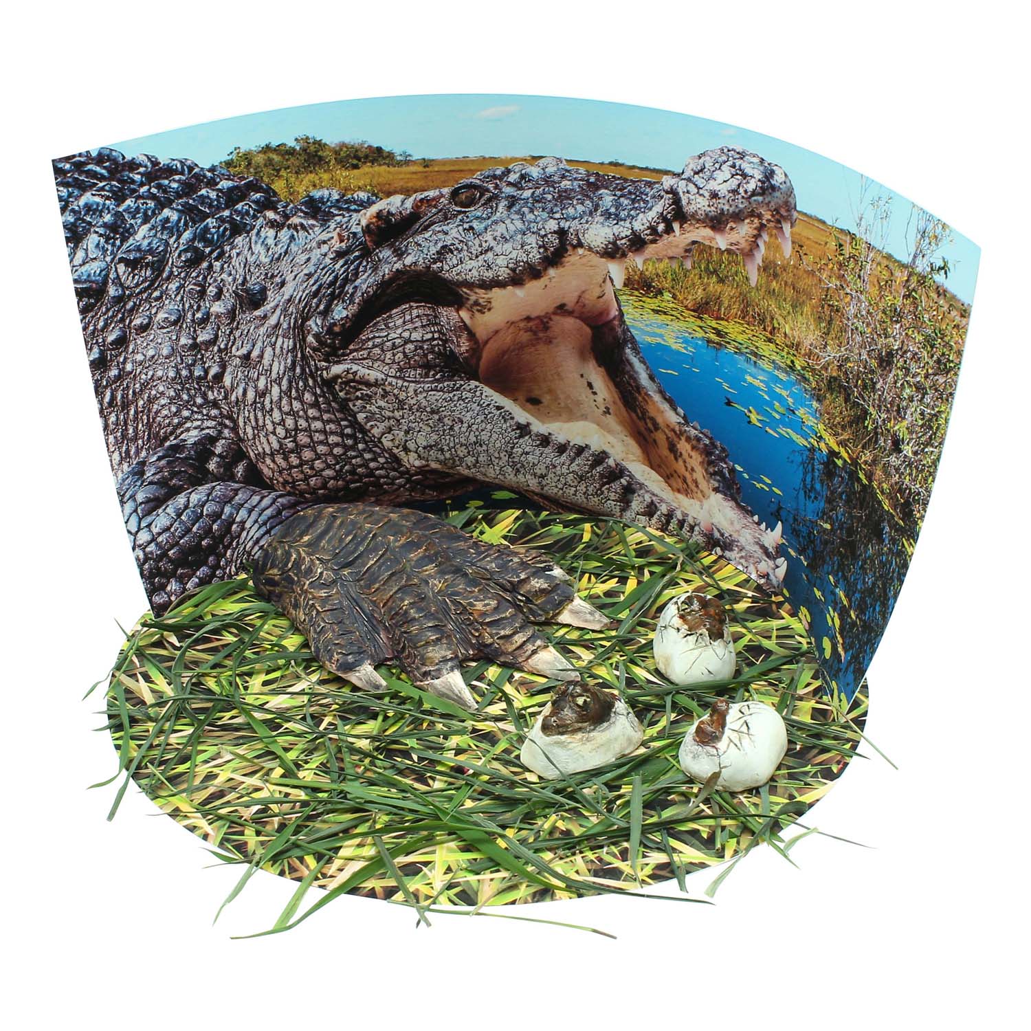 Extreme Crocodiles of the World - For Ages 6+ - Create and Customize Models and Dioramas - Study the Most Extreme Animals - A1 School Supplies