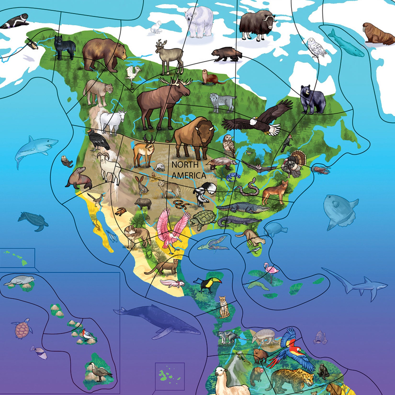 Animal Magnetism® Magnetic Wildlife Map Puzzle: North & South America