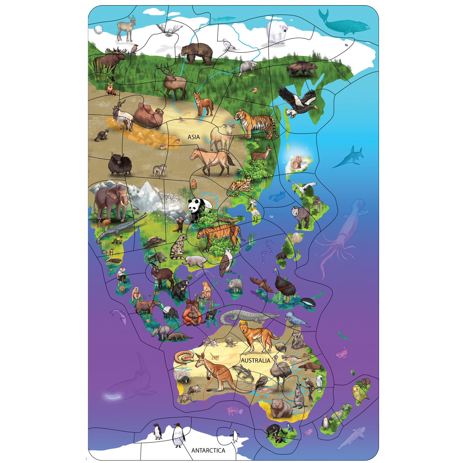 Animal Magnetism® Magnetic Wildlife Map Puzzle: Asia & Australia