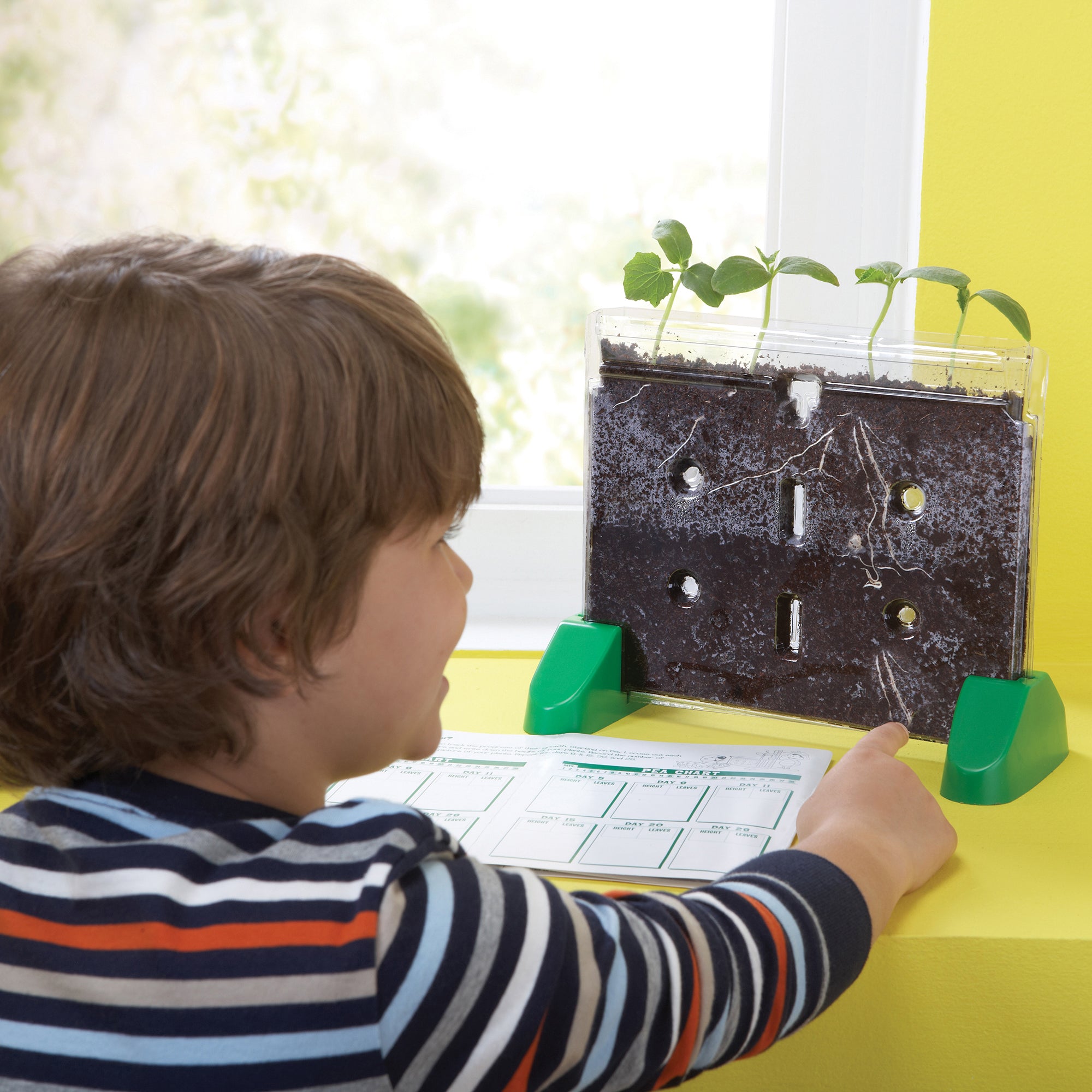 Sprout & Grow Window - A1 School Supplies