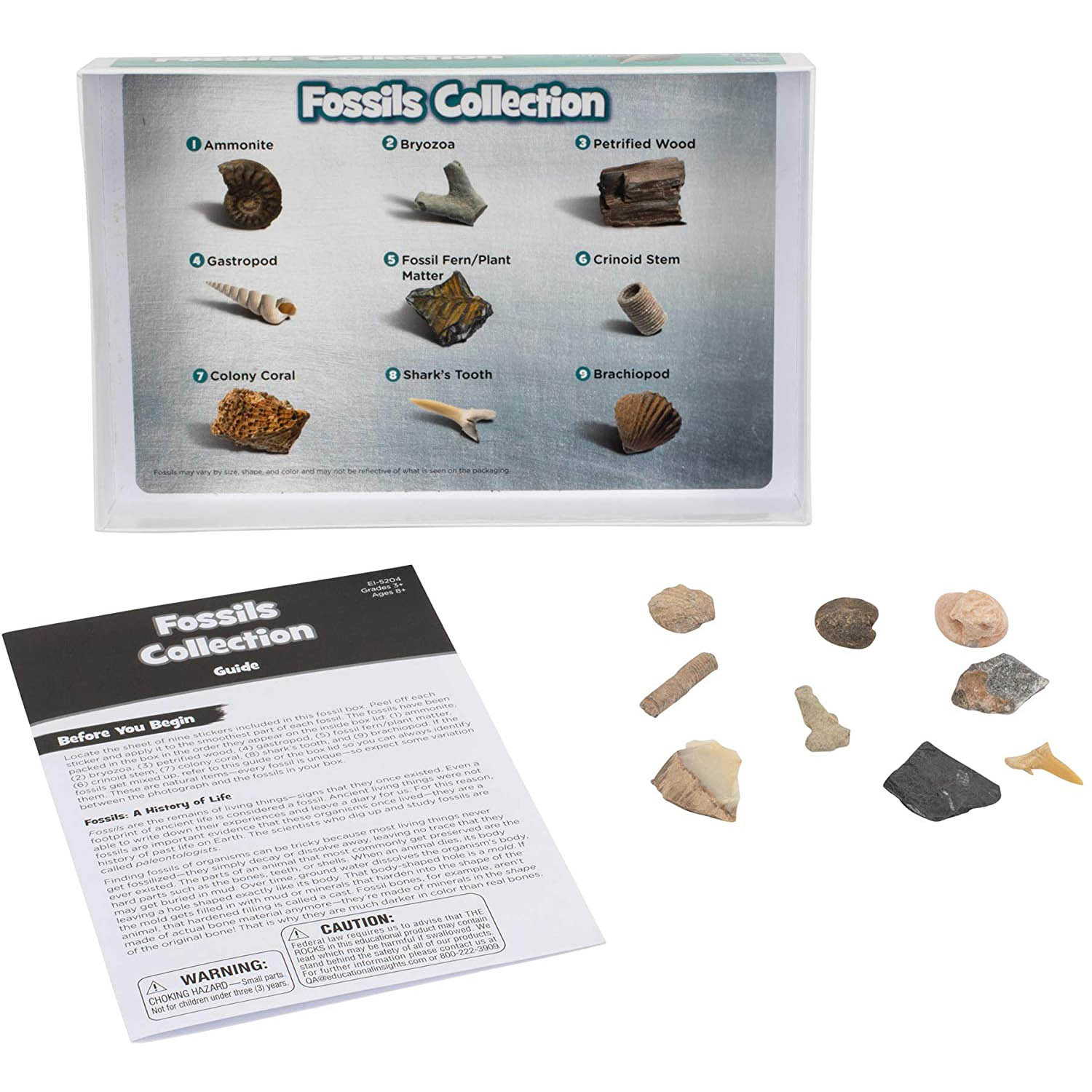 GeoSafari® Complete Rock, Mineral, & Fossil Collections, Set of 57 - A1 School Supplies