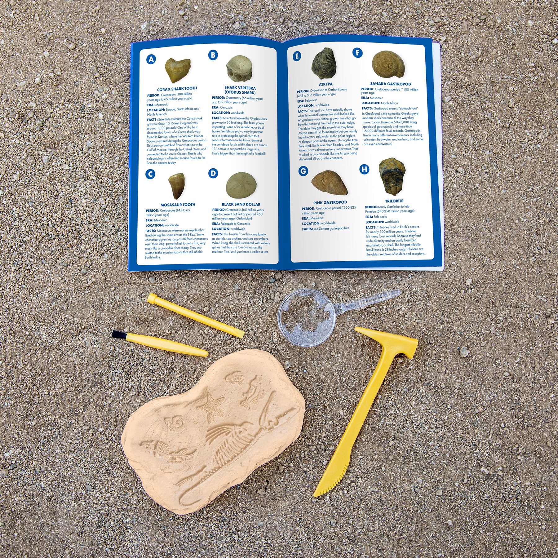 GeoSafari® Jr. Fossil Excavation Kit