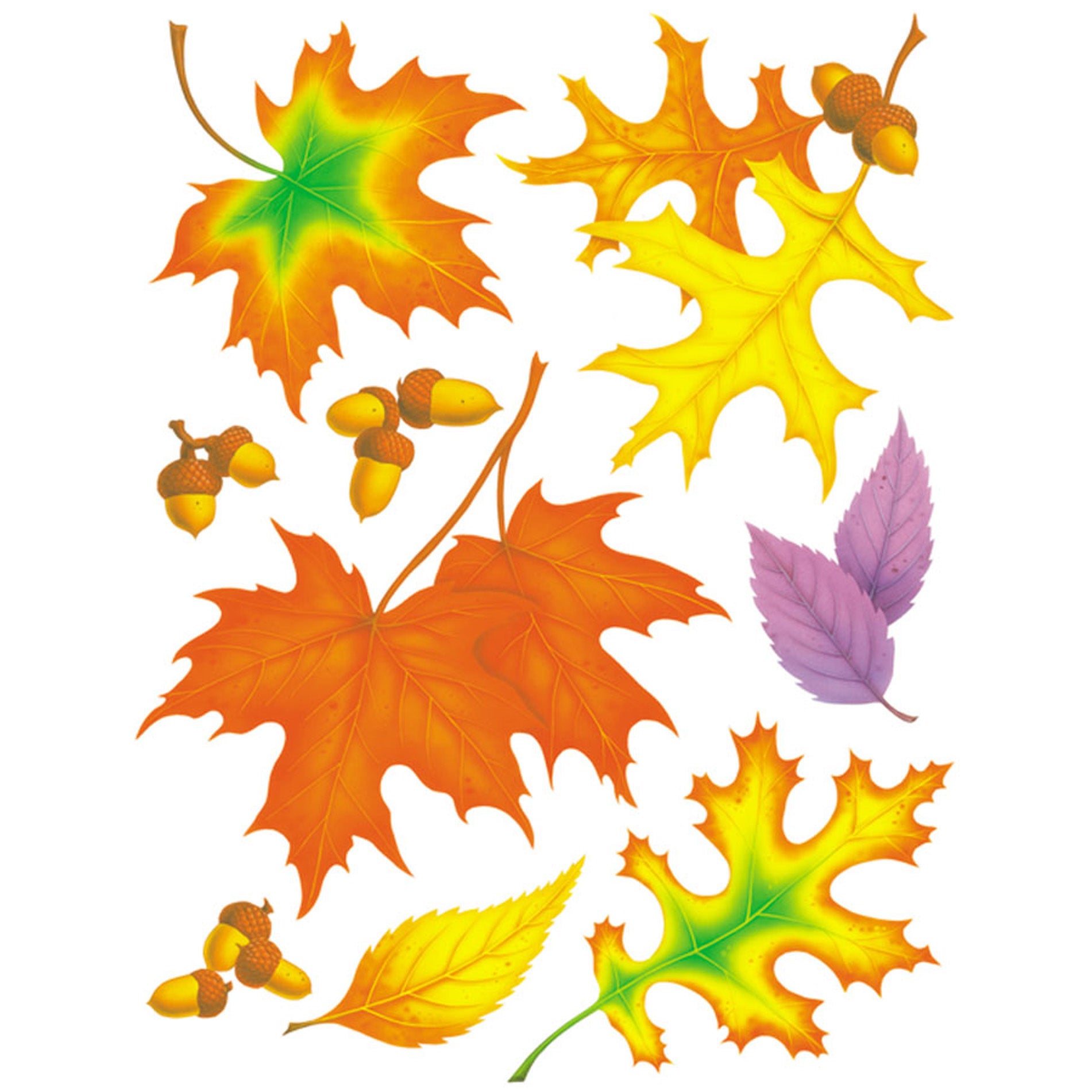 Fall Leaves Window Clings, 12 Sheets - A1 School Supplies