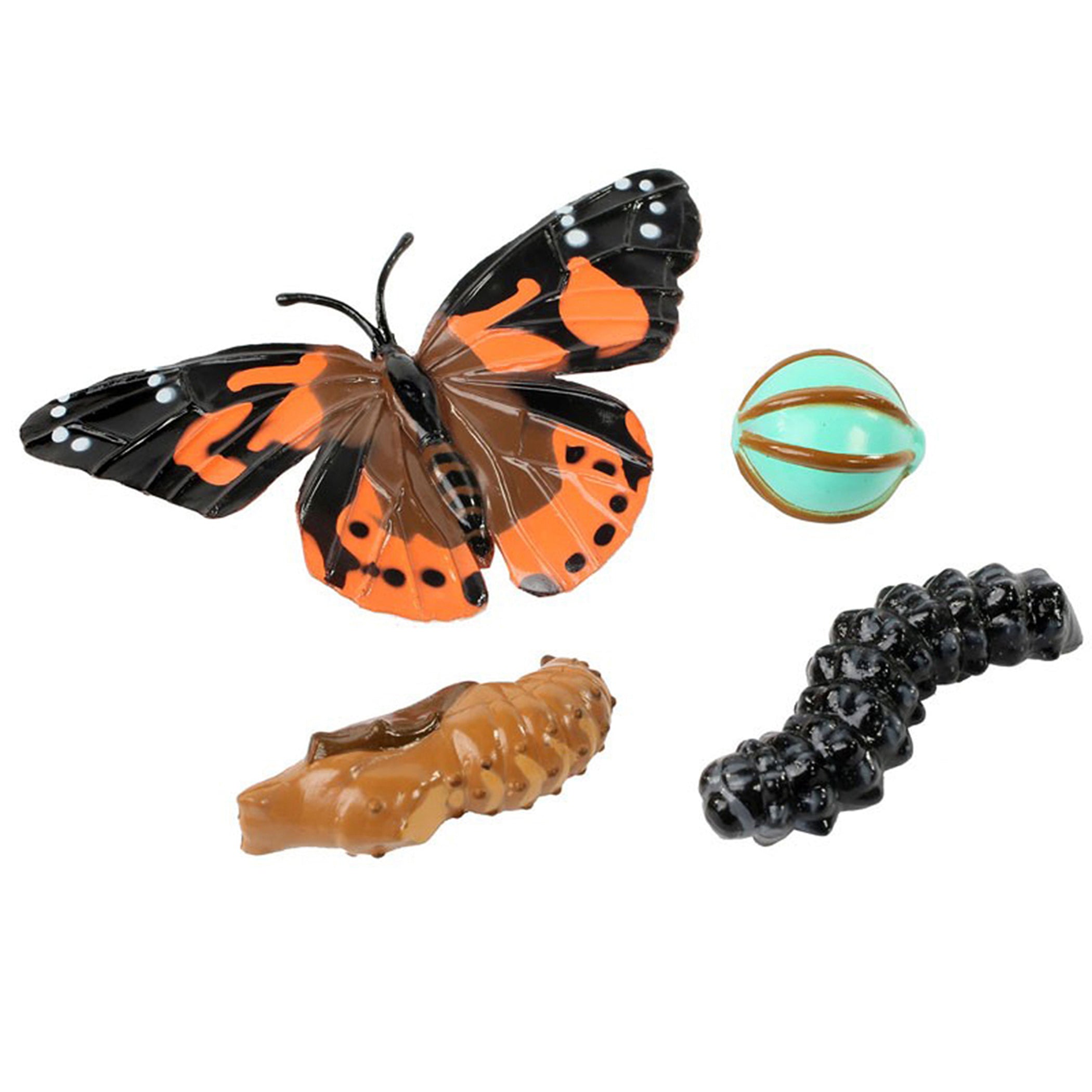 Butterfly Life Cycle Stages Figurines, 4 Per Set, 2 Sets