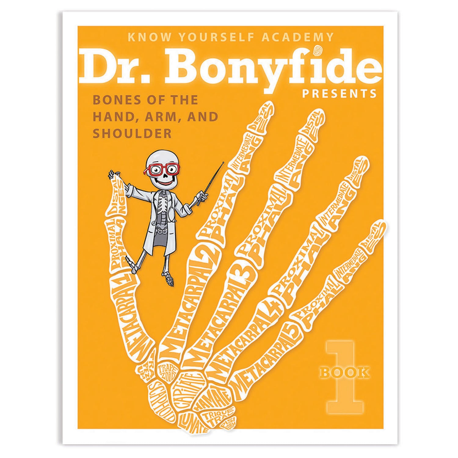 4 Book Set: Dr. Bonyfide Presents 206 Bones of the Human Body - A1 School Supplies