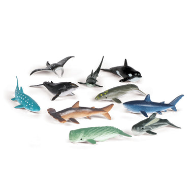 Ocean Creatures, Set of 50 - A1 School Supplies