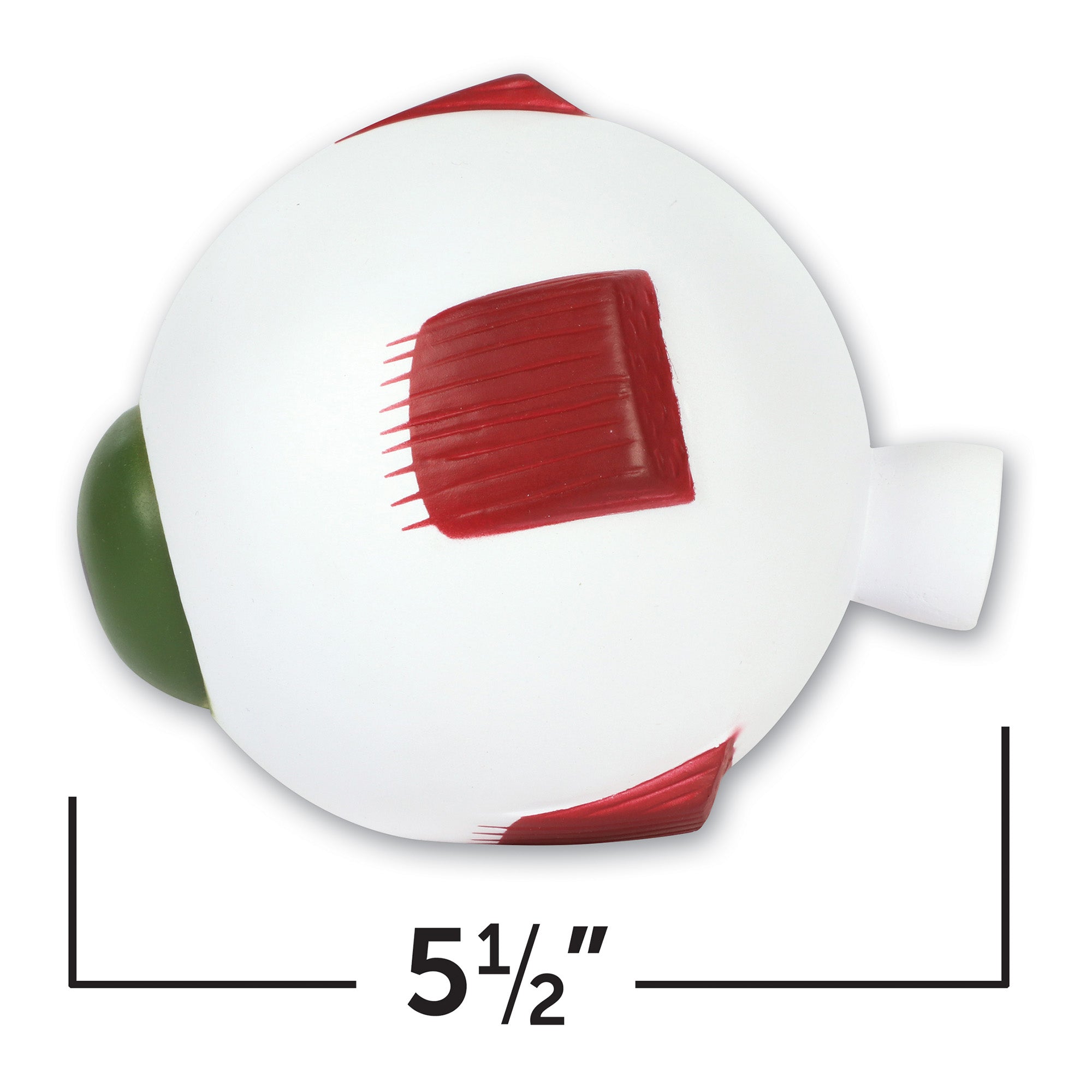 Soft Foam Cross-Section Eye Model