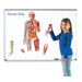 Double-Sided Magnetic Human Body Set, 17 Pieces - A1 School Supplies