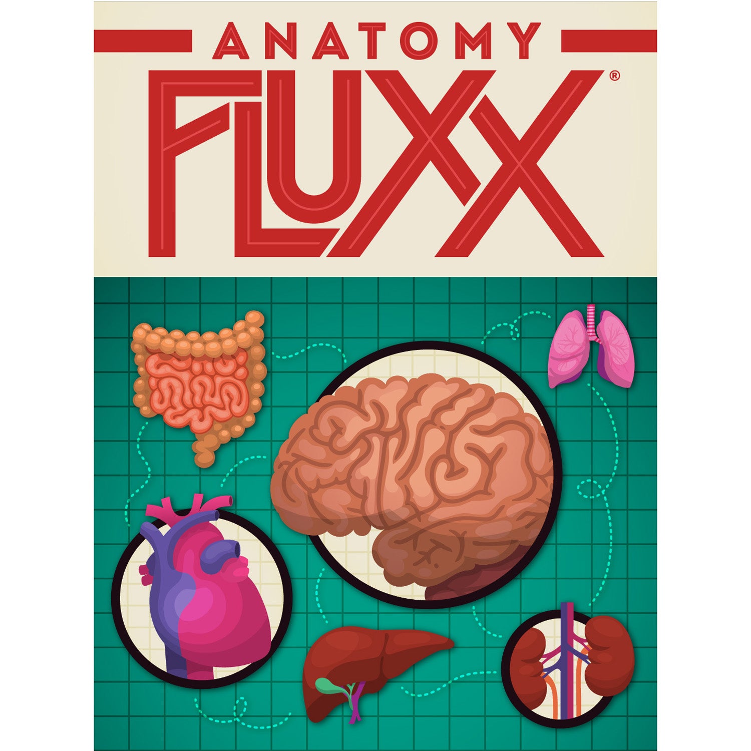 Anatomy Fluxx® Card Game - A1 School Supplies