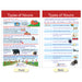 Parts of Speech Bulletin Board Activity Chart Set - A1 School Supplies