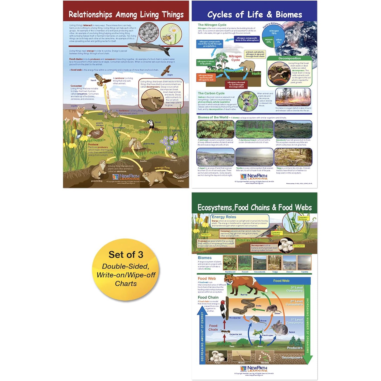 Ecology Bulletin Board Chart Set, Grades 3-5