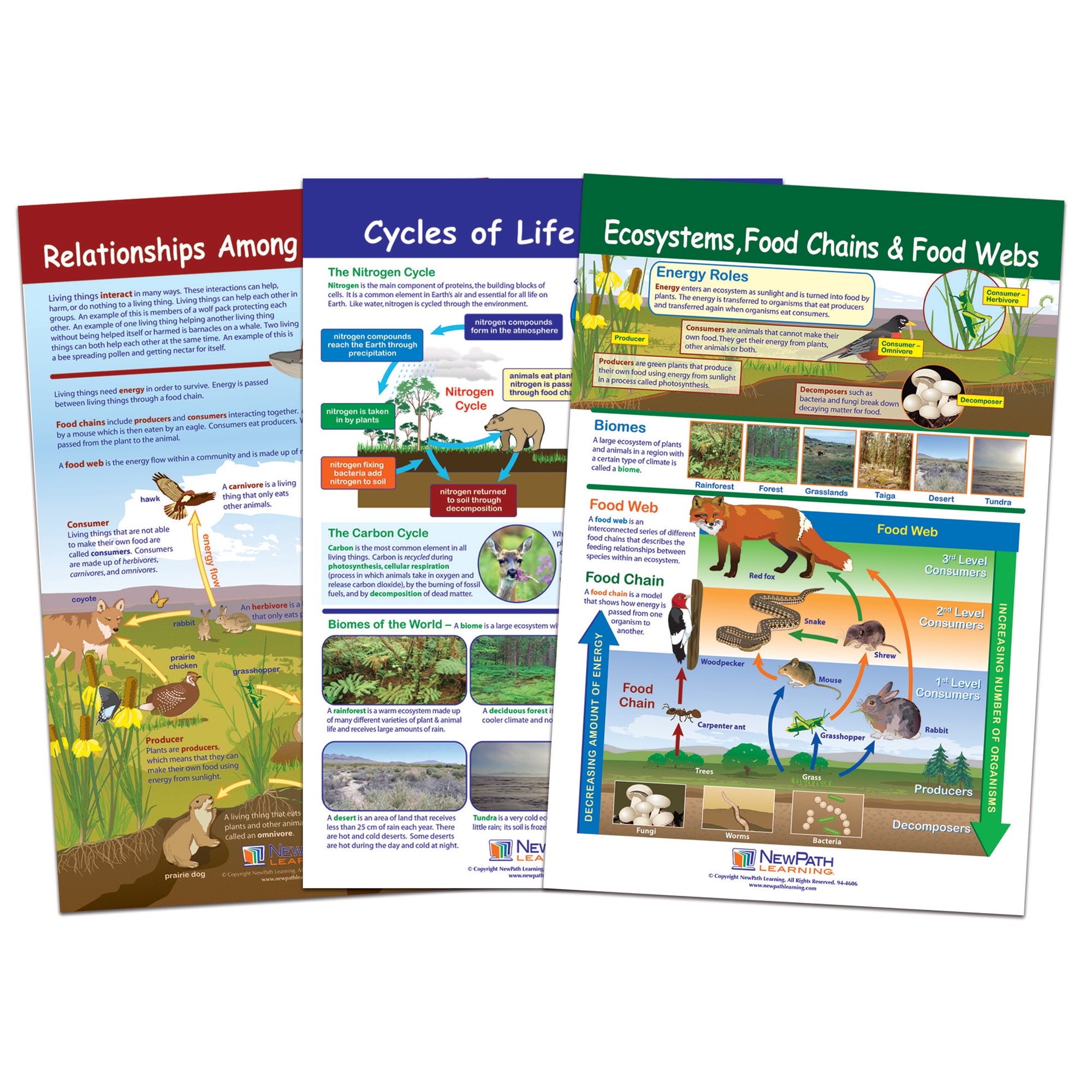 Ecology Bulletin Board Chart Set, Grades 3-5