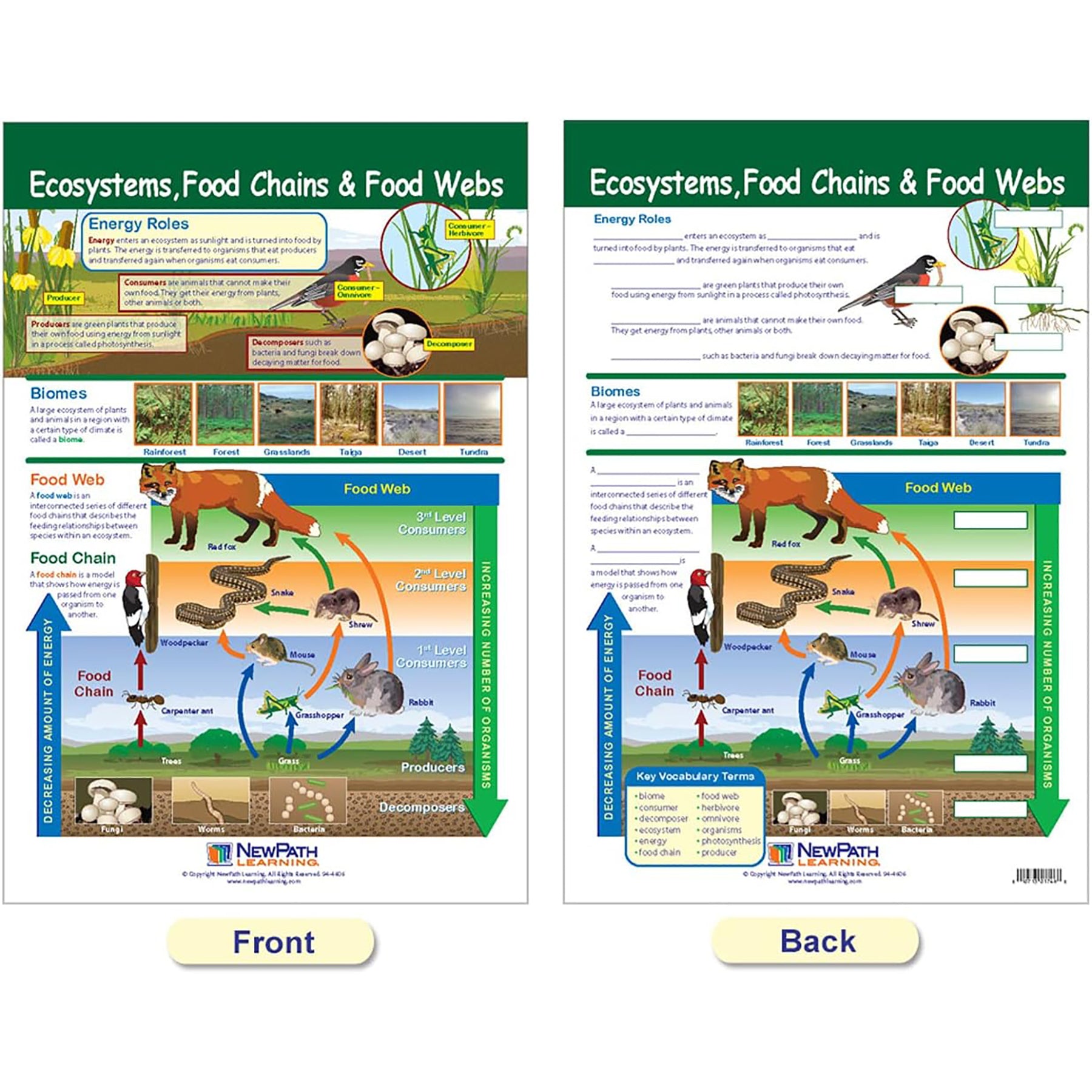 Ecology Bulletin Board Chart Set, Grades 3-5