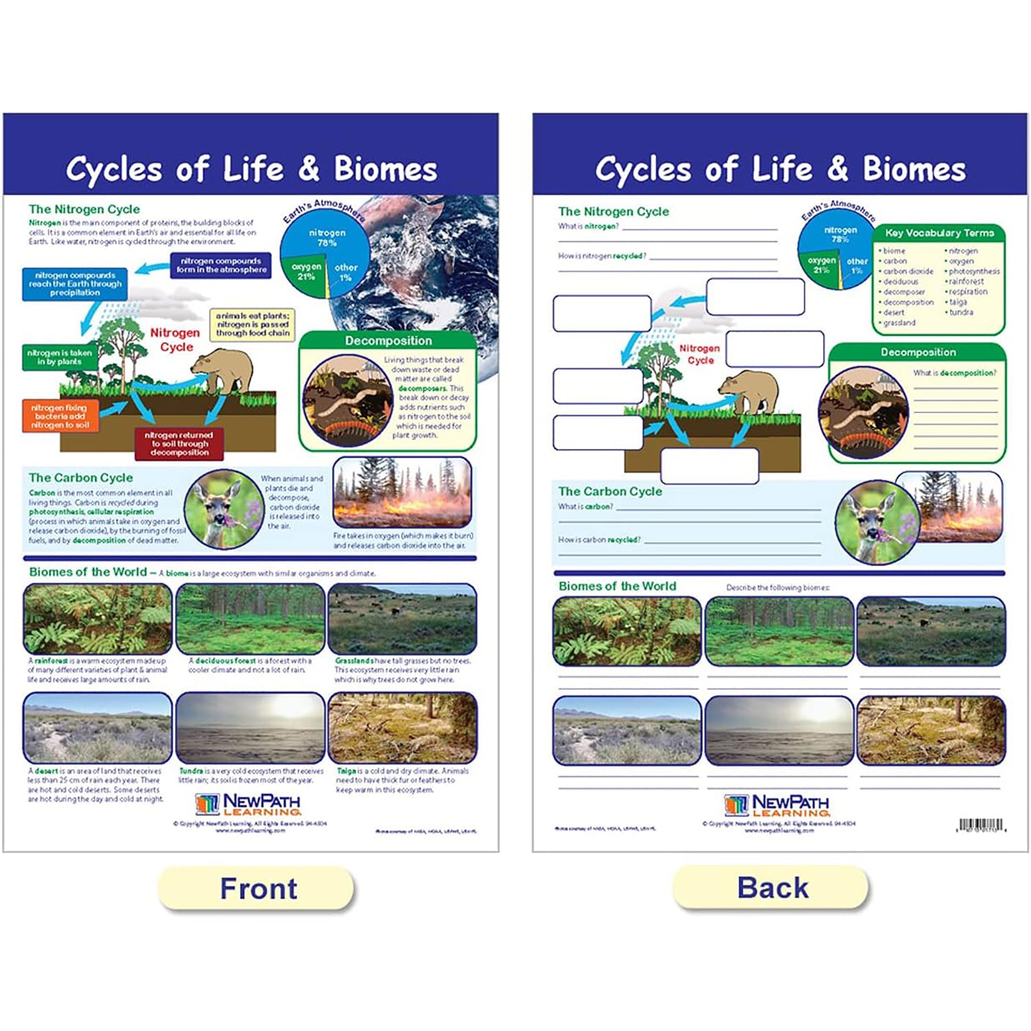 Ecology Bulletin Board Chart Set, Grades 3-5