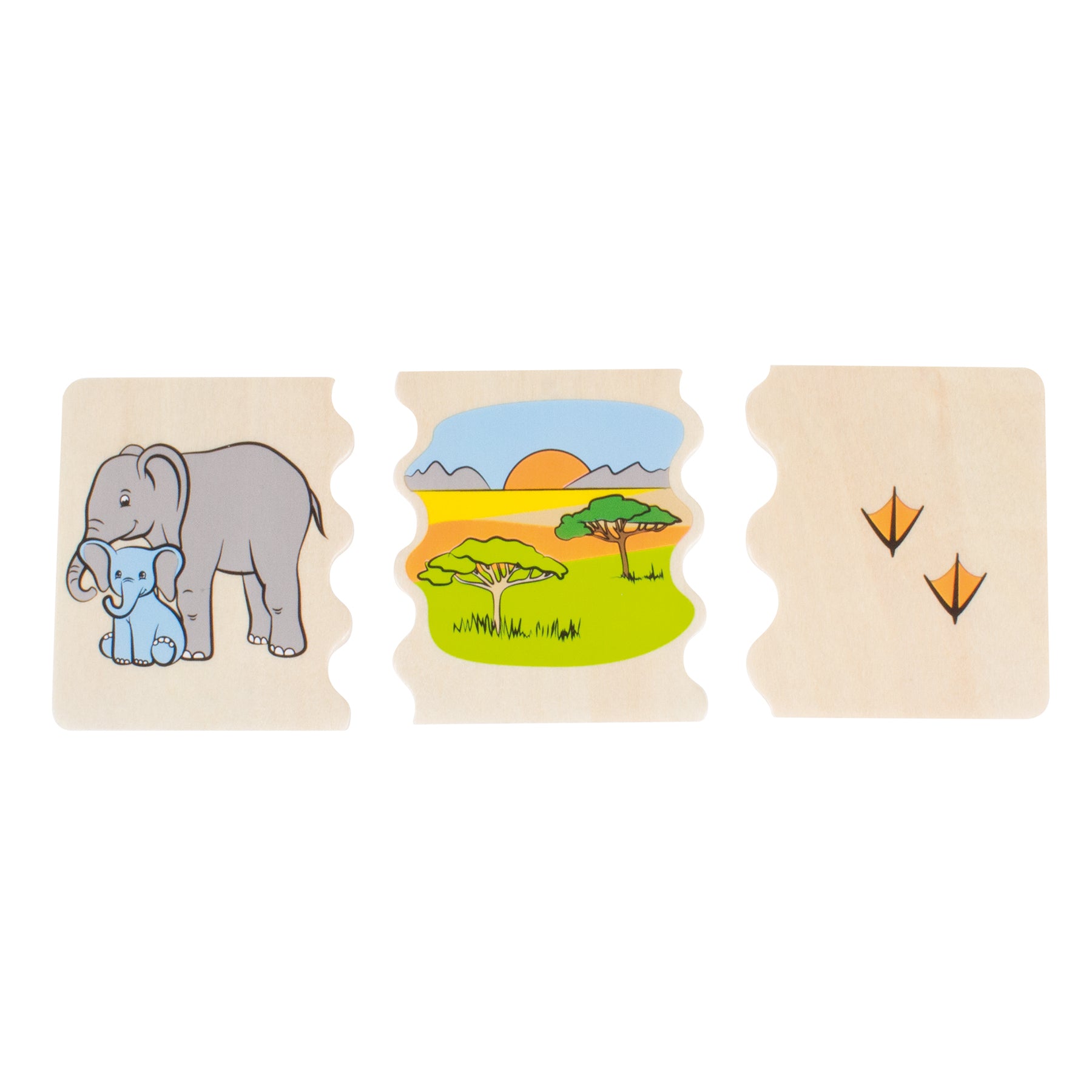 Cognito Animal Habitats Puzzle