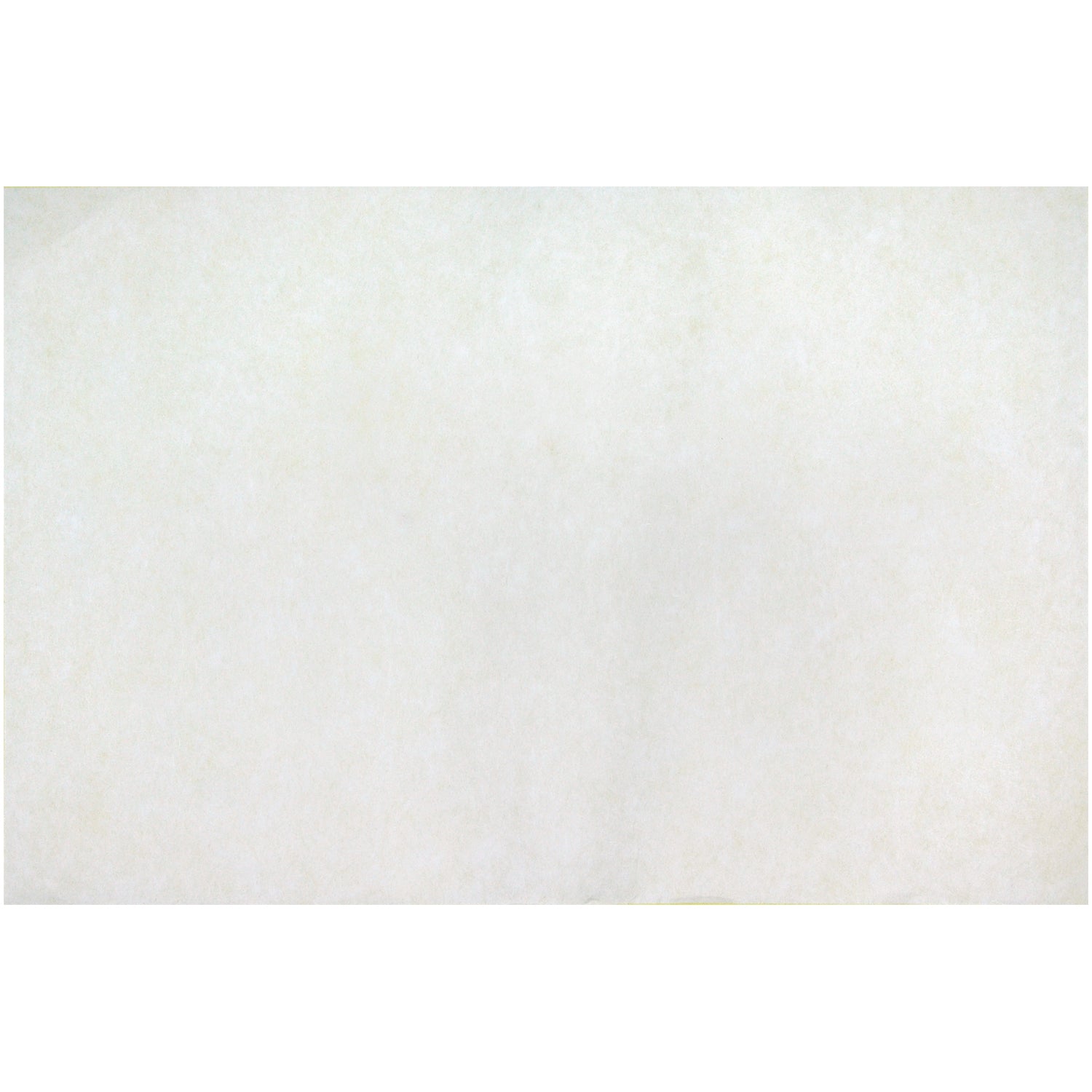 Color Diffusing Paper, 12" x 18", 50 Sheets Per Pack, 3 Packs