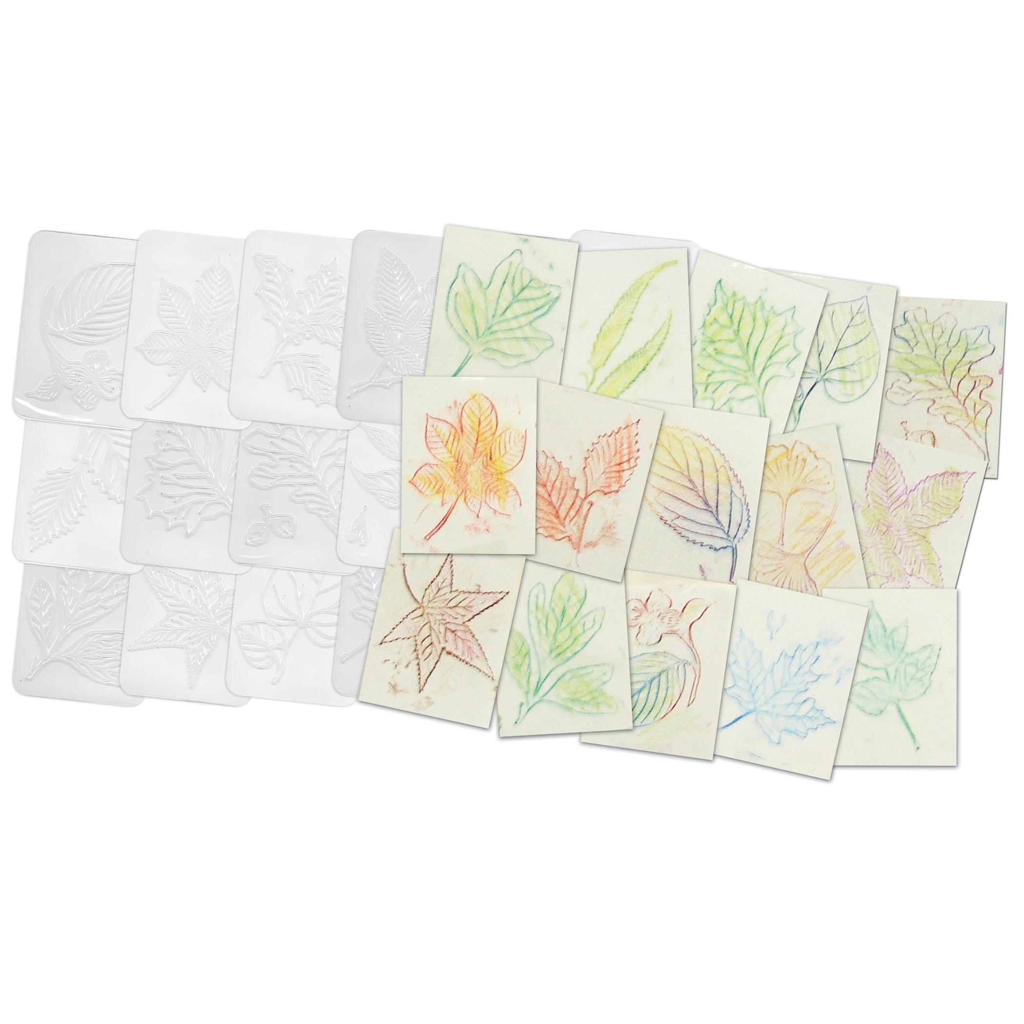 Leaf Rubbing Plates, 16 Per Pack, 2 Packs - A1 School Supplies