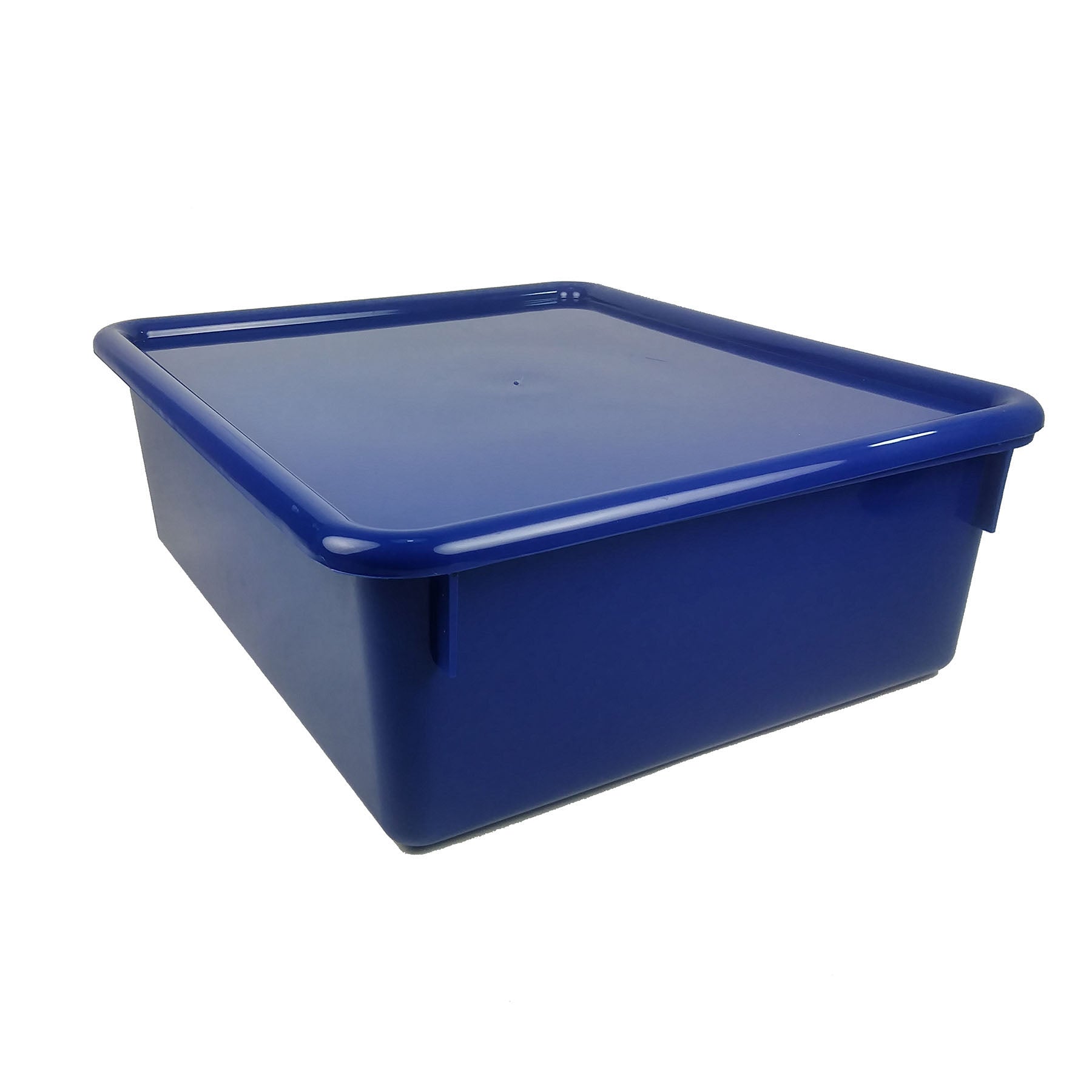 Double Stowaway® Tray with Lid, Blue