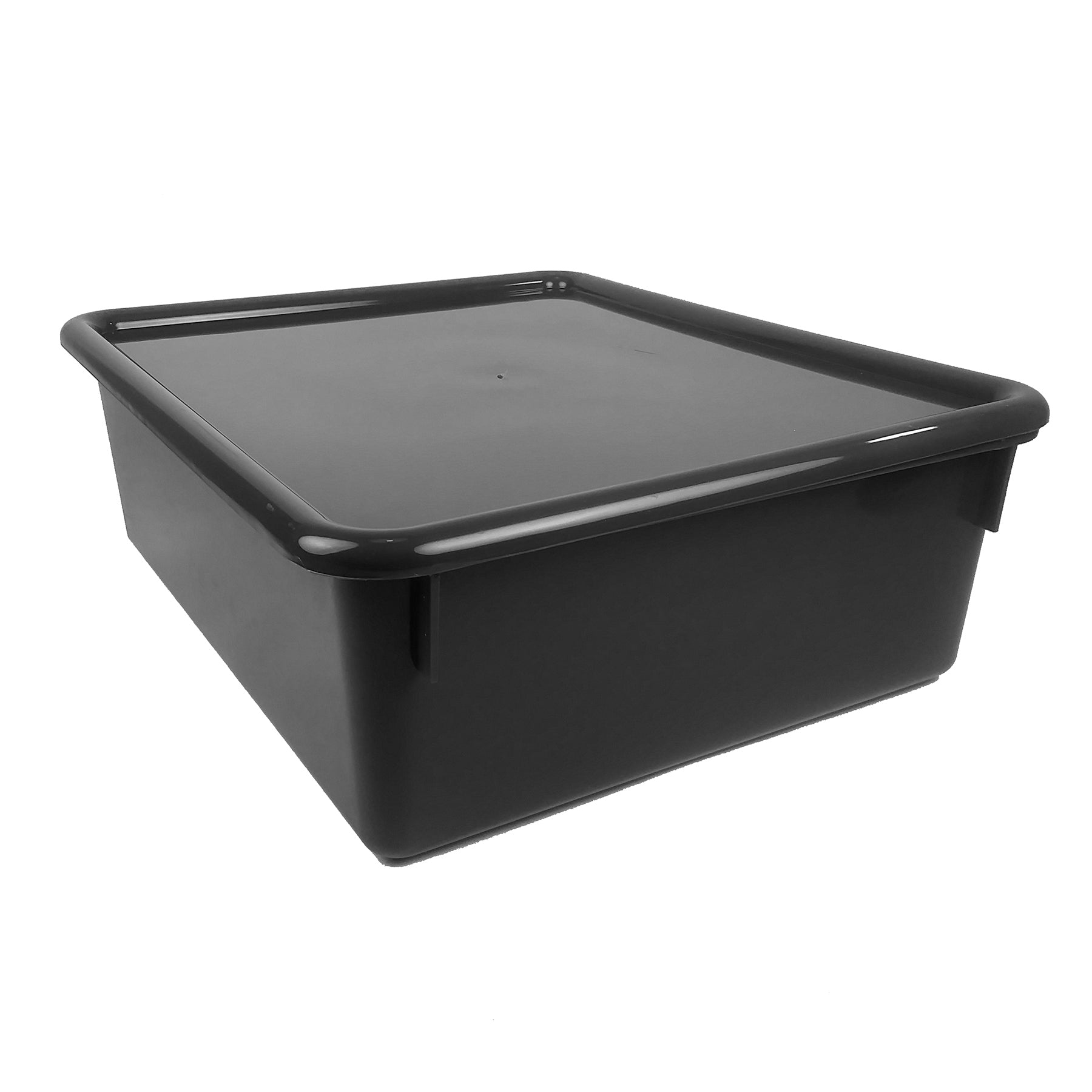 Double Stowaway® Tray with Lid, Black