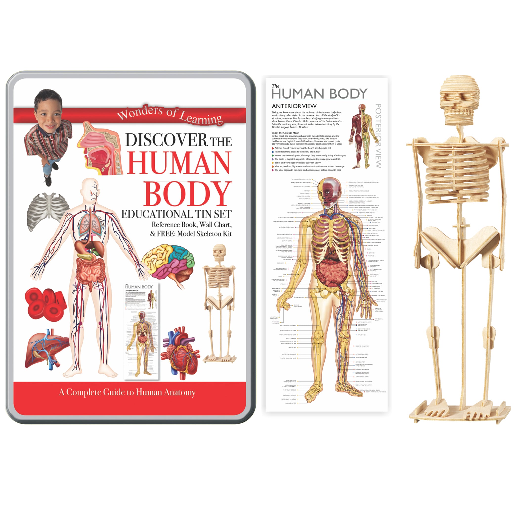 Wonders of Learning Tin Set, Discover the Human Body