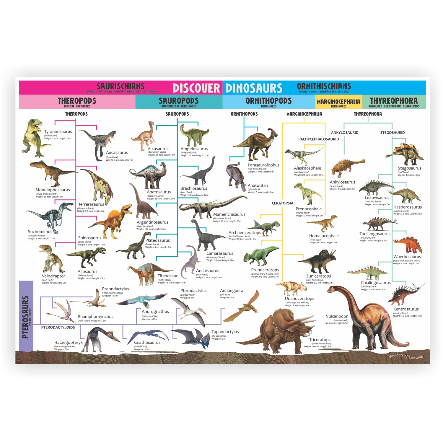 Wonders of Learning Tin Set, Discover Dinosaurs - A1 School Supplies